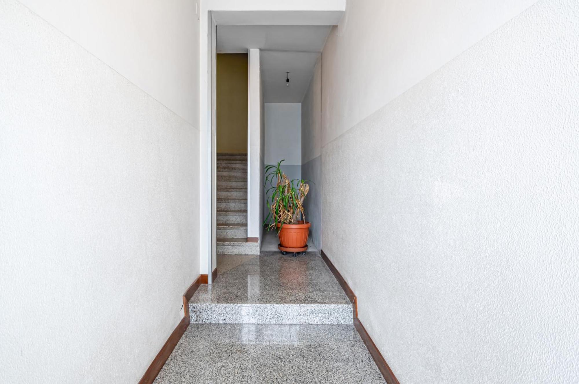 San Vincenzo Apartments 1 - 2 - 4 Vigonza Extérieur photo